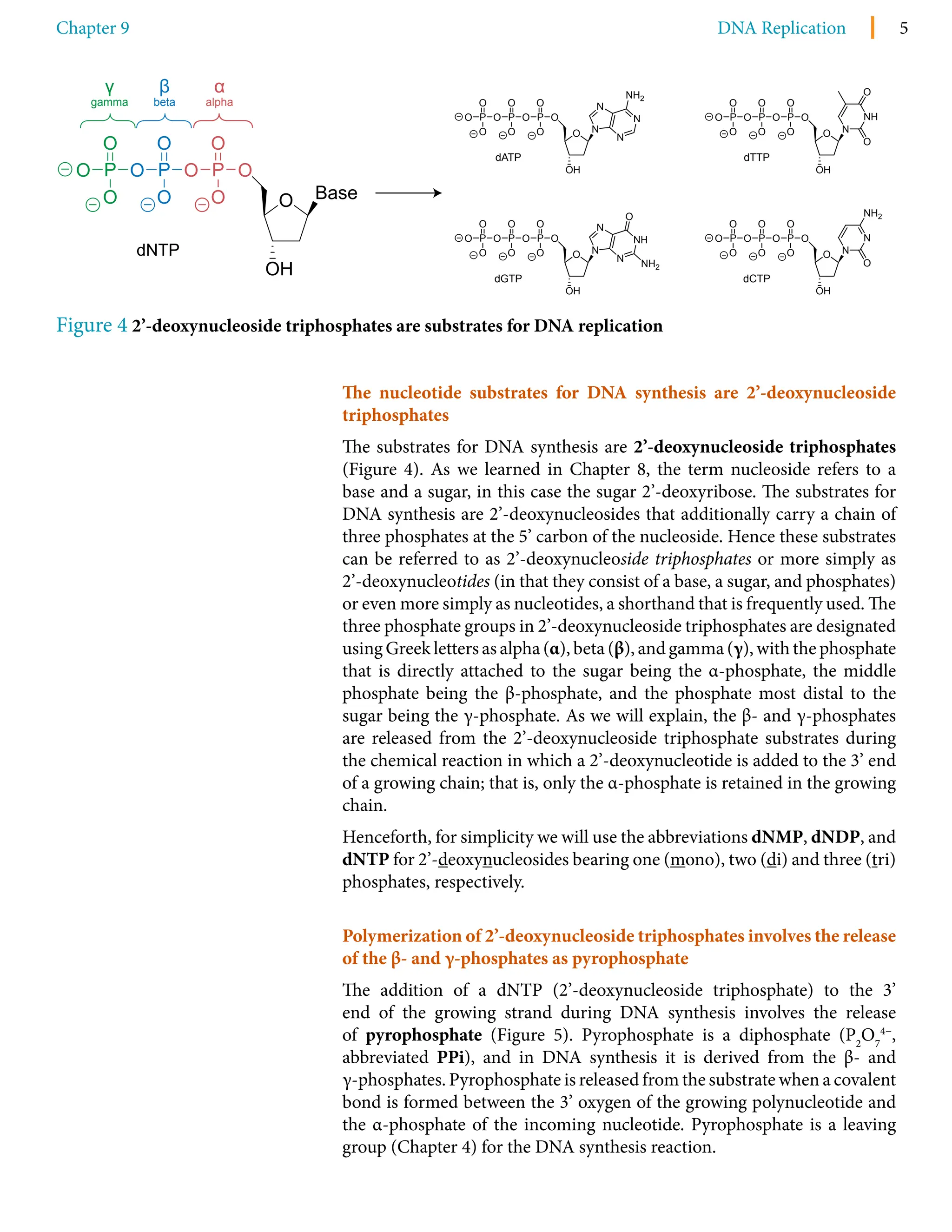 revised chelsea boot steve madden
