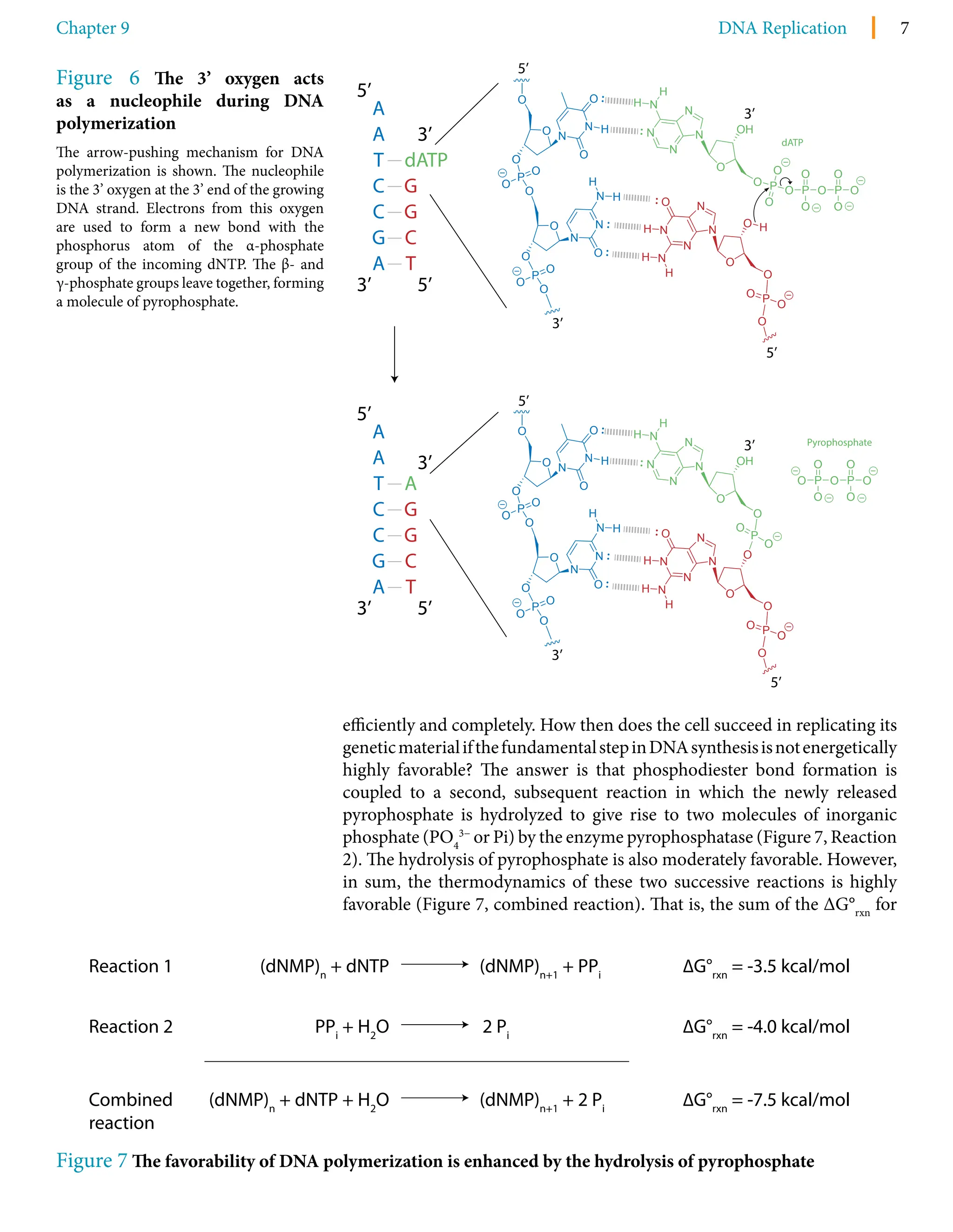 revised chelsea boot steve madden
