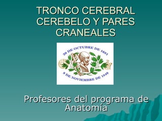 TRONCO CEREBRAL CEREBELO Y PARES CRANEALES Profesores del programa de Anatomía 