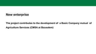 New enterprise
The project contributes to the development of a Basic Company mutual of
Agriculture Services (CMSA at Bousalem)
 