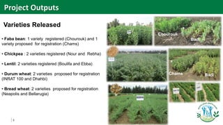 3
Varieties Released
• Faba bean: 1 variety registered (Chourouk) and 1
variety proposed for registration (Chams)
• Chickpea : 2 varieties registered (Nour and Rebha)
• Lentil: 2 varieties registered (Boulifa and Ebba)
• Durum wheat: 2 varieties proposed for registration
(INRAT 100 and Dhahbi)
• Bread wheat: 2 varieties proposed for registration
(Neapolis and Bellarugia)
Project Outputs
Chourouk
Badï
Chams Badï
 
