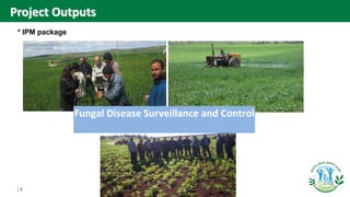 5
Fungal Disease Surveillance and Control
* IPM package
Project Outputs
 