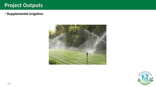 6
* Supplemental irrigation
Project Outputs
 