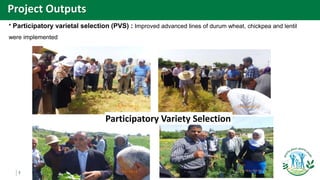 7
Participatory Variety Selection
* Participatory varietal selection (PVS) : Improved advanced lines of durum wheat, chickpea and lentil
were implemented
Project Outputs
 