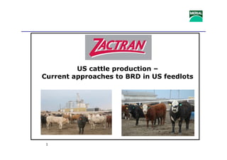 1
US cattle production –
Current approaches to BRD in US feedlots
 