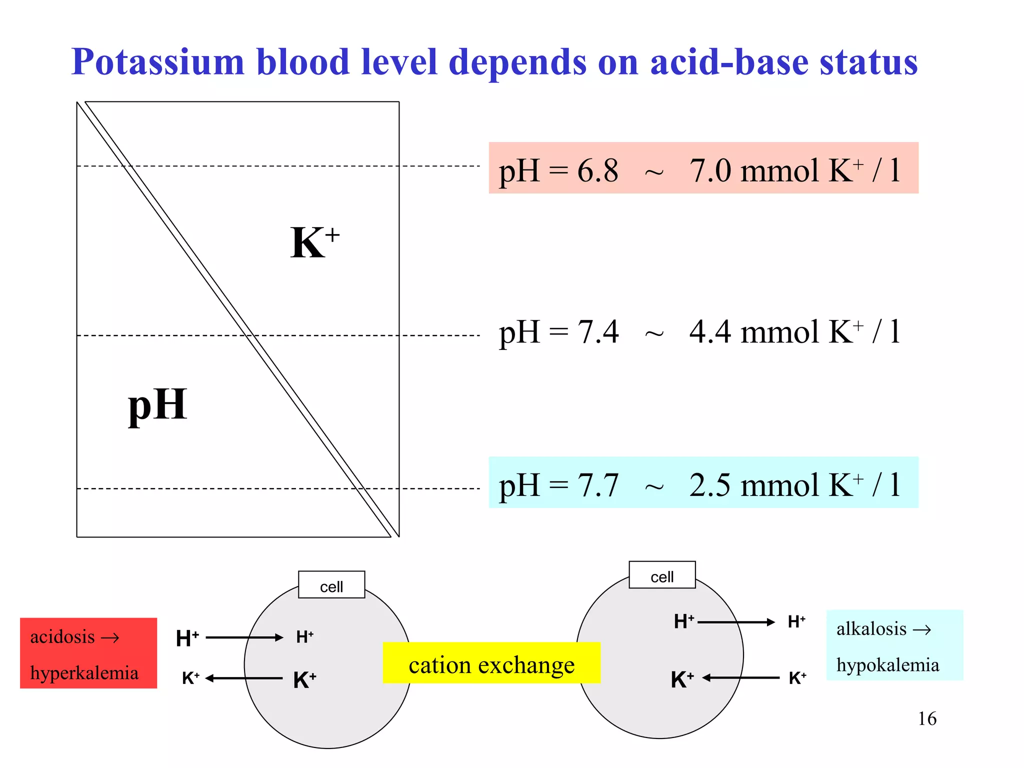 Potassium blood level depends on acid-base status

                                          pH = 6.8 ~ 7.0 mmol K+ / l

                      K+
                                          pH = 7.4 ~ 4.4 mmol K+ / l

             pH
                                          pH = 7.7 ~ 2.5 mmol K+ / l

                                                    cell
                           cell

                                                       H+   H+   alkalosis →
acidosis →     H  +   H+

hyperkalemia                      cation exchange                hypokalemia
               K+     K+                               K+   K+

                                                                          16
 