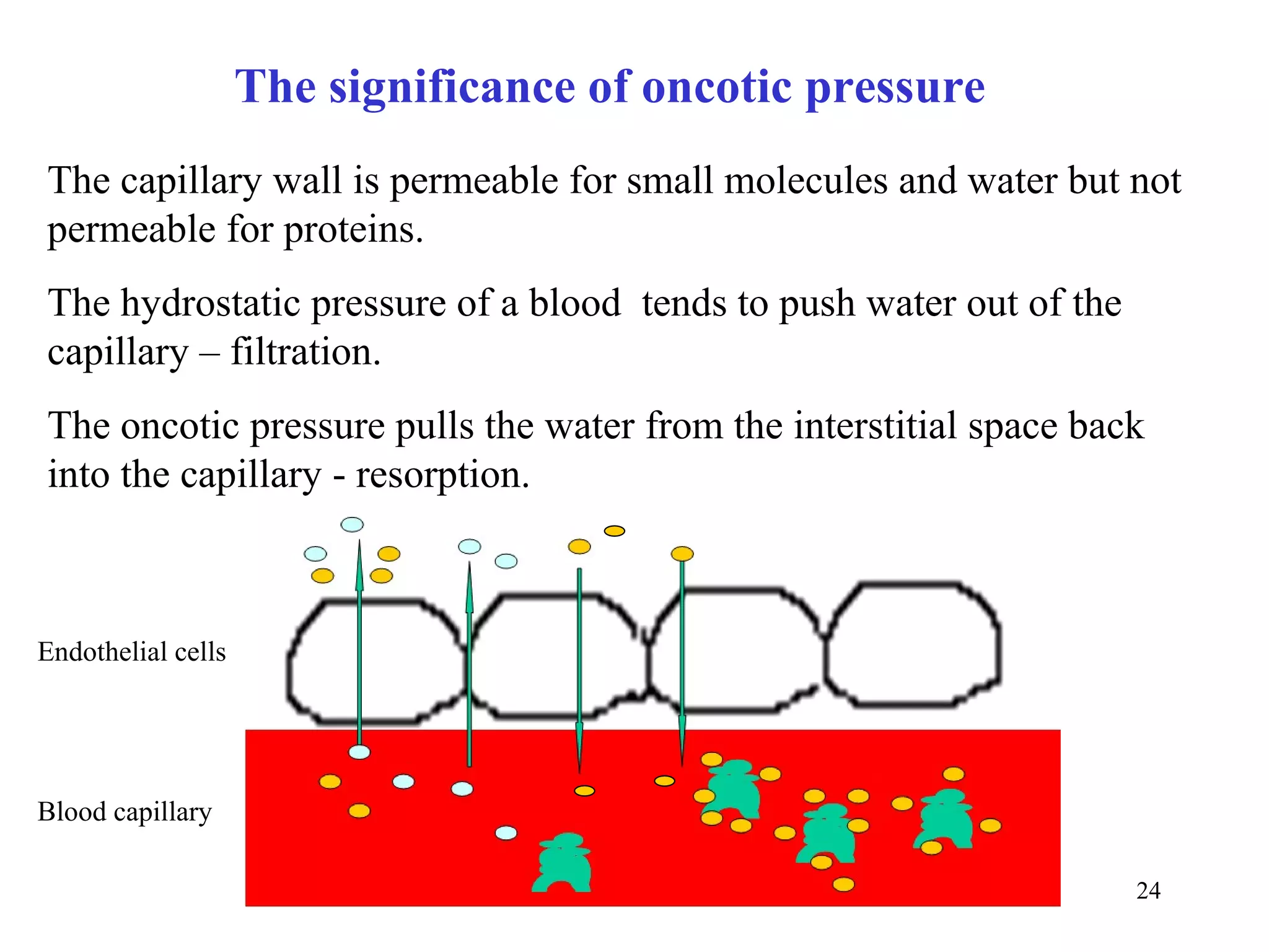 The significance of oncotic pressure
The capillary wall is permeable for small molecules and water but not
permeable for proteins.
The hydrostatic pressure of a blood tends to push water out of the
capillary – filtration.
The oncotic pressure pulls the water from the interstitial space back
into the capillary - resorption.



Endothelial cells




Blood capillary

                                                                     24
 