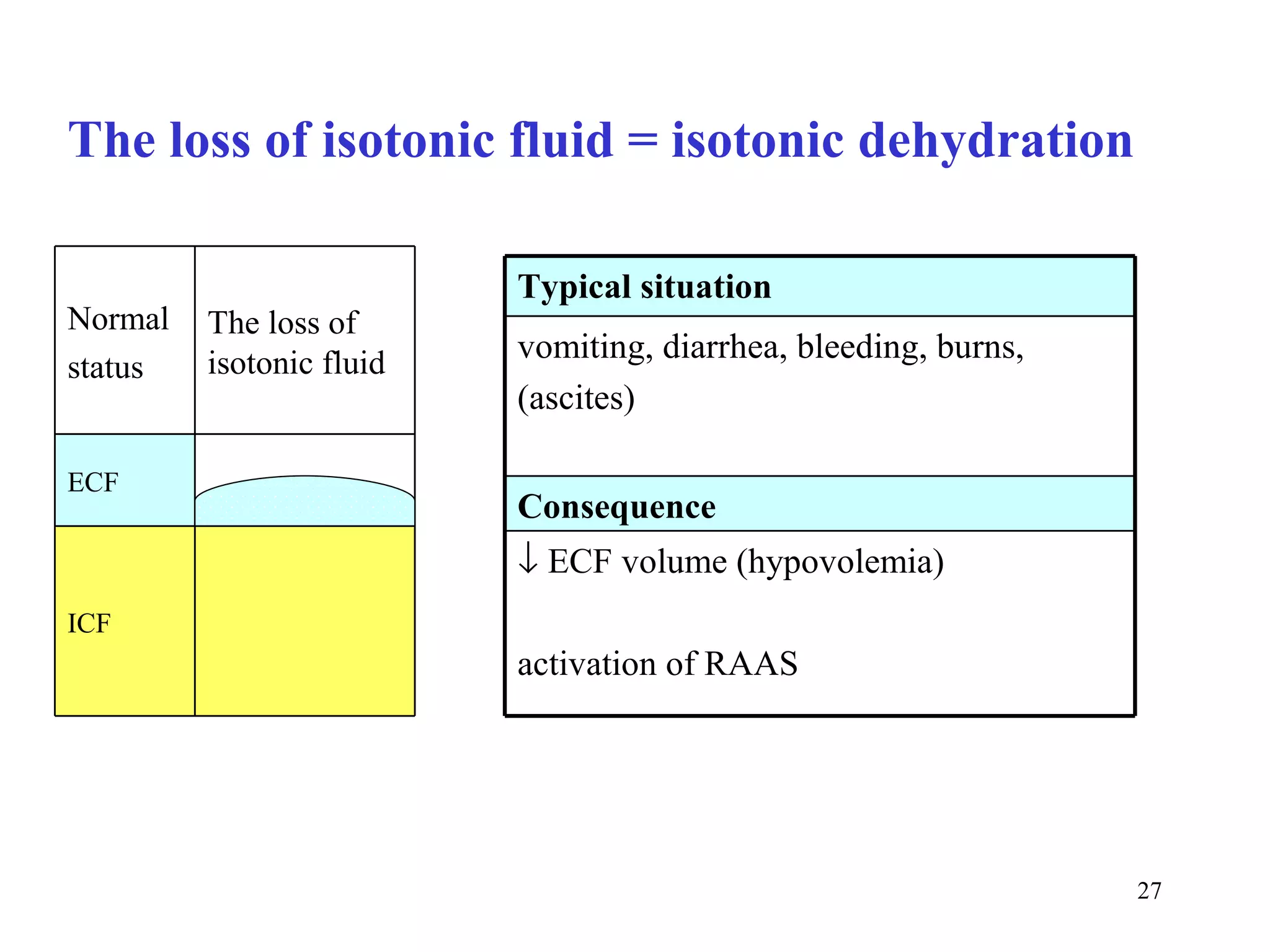 The loss of isotonic fluid = isotonic dehydration

                          Typical situation
Normal   The loss of
         isotonic fluid   vomiting, diarrhea, bleeding, burns,
status
                          (ascites)

ECF
                          Consequence
                          ↓ ECF volume (hypovolemia)
ICF
                          activation of RAAS




                                                                 27
 