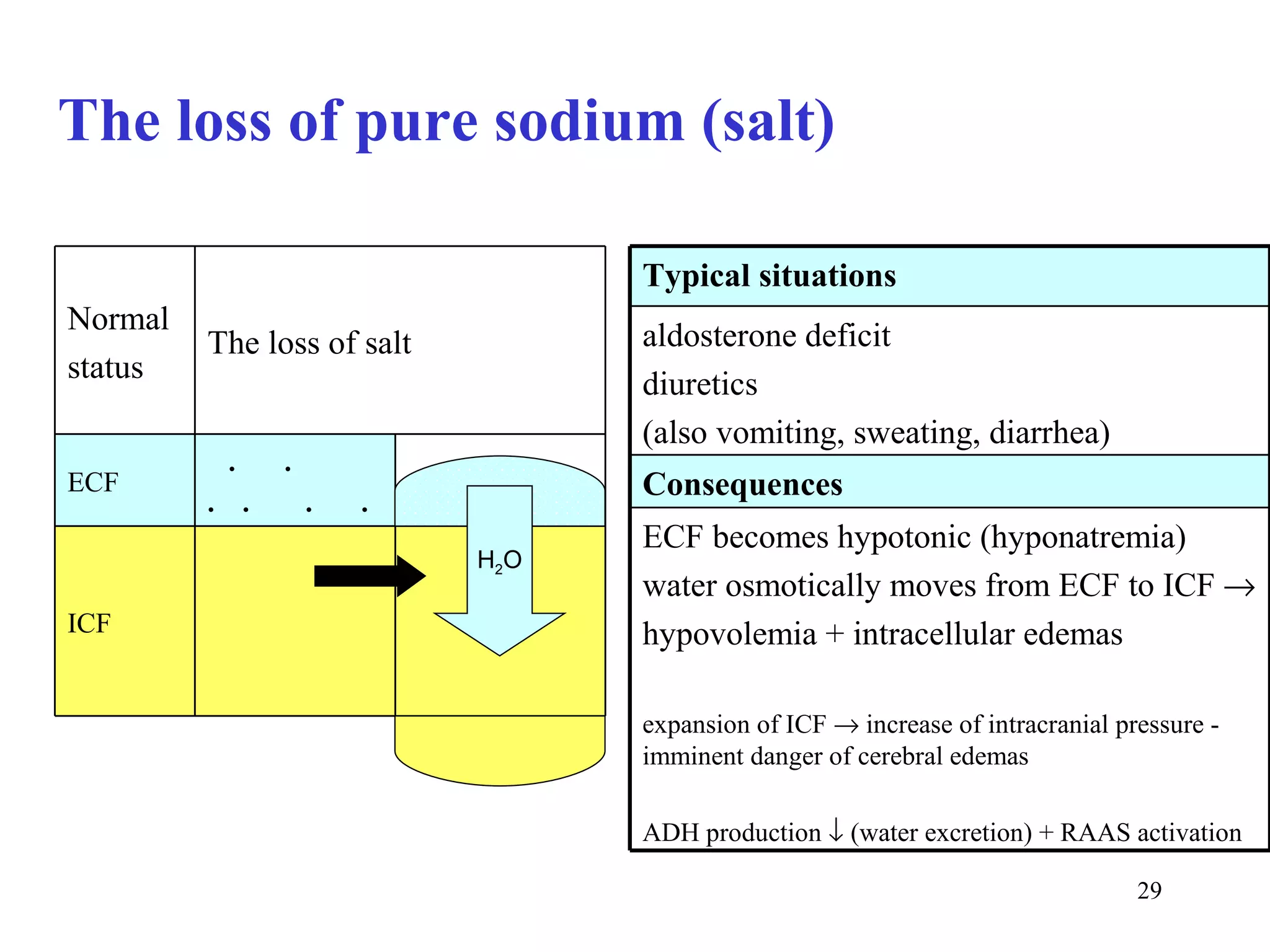The loss of pure sodium (salt)

                                  Typical situations
Normal
         The loss of salt         aldosterone deficit
status                            diuretics
                                  (also vomiting, sweating, diarrhea)
          .    .
ECF                               Consequences
         . .       .   .
                                  ECF becomes hypotonic (hyponatremia)
                            H2O
                                  water osmotically moves from ECF to ICF →
ICF                               hypovolemia + intracellular edemas

                                  expansion of ICF → increase of intracranial pressure -
                                  imminent danger of cerebral edemas

                                  ADH production ↓ (water excretion) + RAAS activation

                                                                                29
 