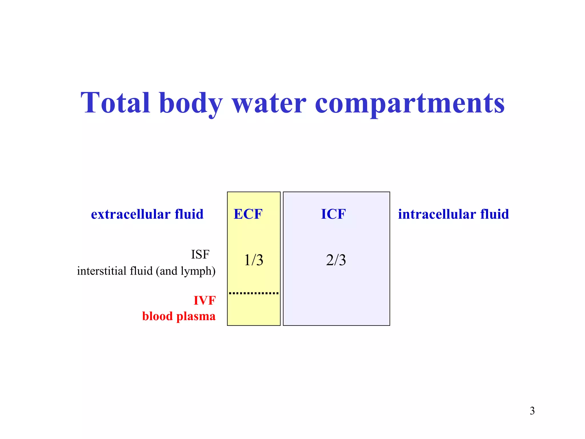 Total body water compartments


   extracellular fluid           ECF    ICF   intracellular fluid

                        ISF
                                  1/3   2/3
interstitial fluid (and lymph)

                       IVF
              blood plasma




                                                                    3
 