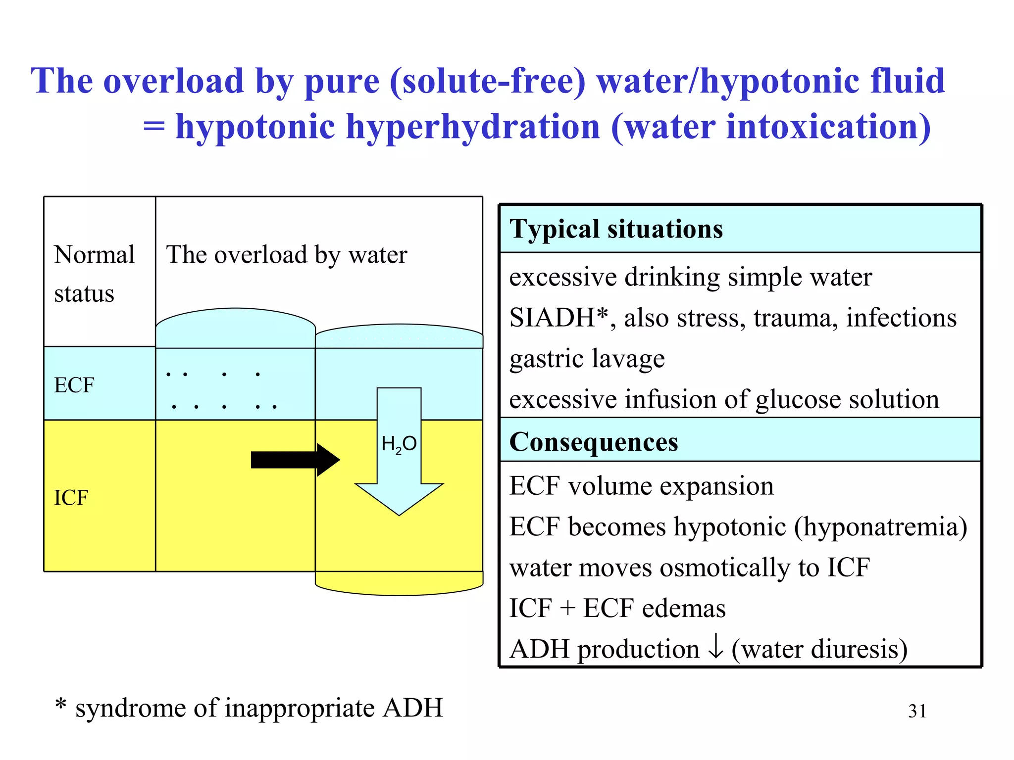 The overload by pure (solute-free) water/hypotonic fluid
      = hypotonic hyperhydration (water intoxication)

                                   Typical situations
 Normal   The overload by water
                                   excessive drinking simple water
 status
                                   SIADH*, also stress, trauma, infections
          . . .    .               gastric lavage
 ECF
           . . .   . .             excessive infusion of glucose solution
                            H2O    Consequences
 ICF                               ECF volume expansion
                                   ECF becomes hypotonic (hyponatremia)
                                   water moves osmotically to ICF
                                   ICF + ECF edemas
                                   ADH production ↓ (water diuresis)

 * syndrome of inappropriate ADH                                     31
 