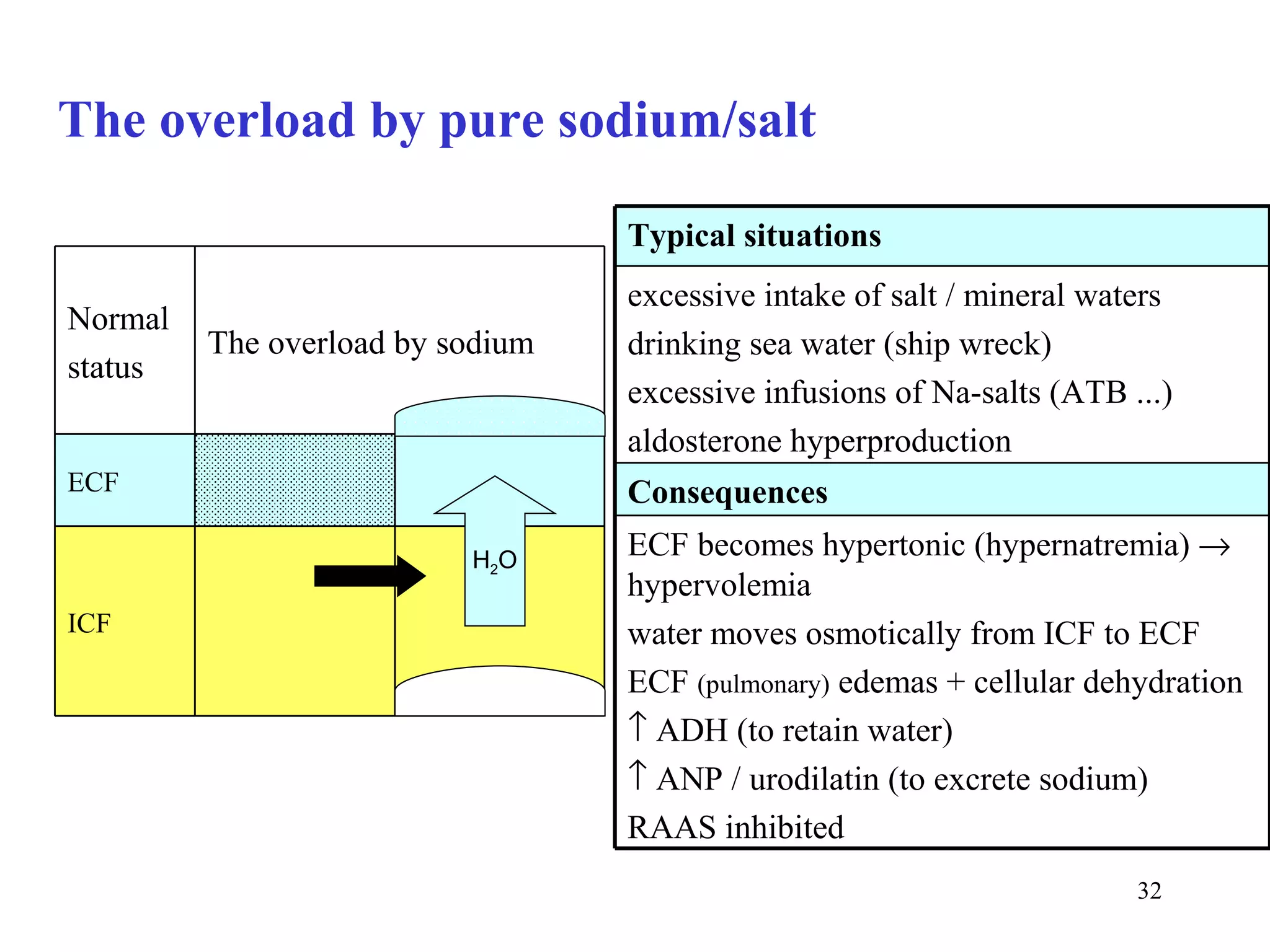 The overload by pure sodium/salt

                                  Typical situations
                                  excessive intake of salt / mineral waters
Normal
         The overload by sodium   drinking sea water (ship wreck)
status
                                  excessive infusions of Na-salts (ATB ...)
                                  aldosterone hyperproduction
ECF                               Consequences
                          H2O
                                  ECF becomes hypertonic (hypernatremia) →
                                  hypervolemia
ICF                               water moves osmotically from ICF to ECF
                                  ECF (pulmonary) edemas + cellular dehydration
                                  ↑ ADH (to retain water)
                                  ↑ ANP / urodilatin (to excrete sodium)
                                  RAAS inhibited
                                                                        32
 