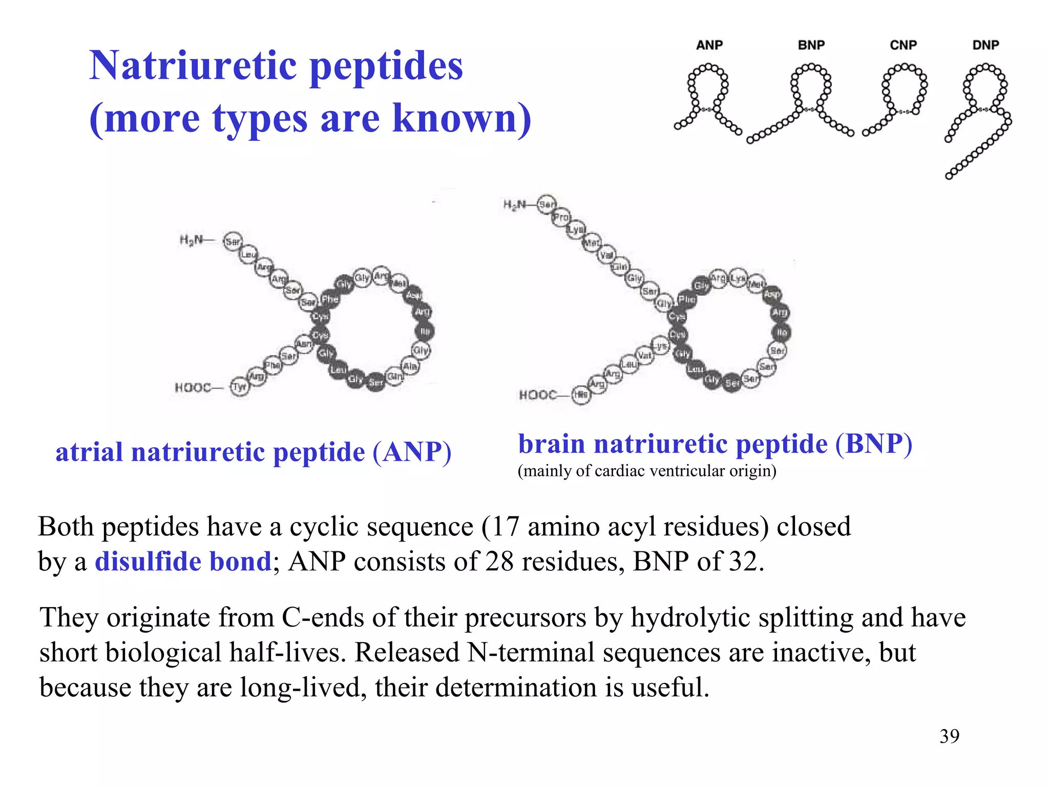 Natriuretic peptides
    (more types are known)




 atrial natriuretic peptide (ANP)       brain natriuretic peptide (BNP)
                                        (mainly of cardiac ventricular origin)


Both peptides have a cyclic sequence (17 amino acyl residues) closed
by a disulfide bond; ANP consists of 28 residues, BNP of 32.
They originate from C-ends of their precursors by hydrolytic splitting and have
short biological half-lives. Released N-terminal sequences are inactive, but
because they are long-lived, their determination is useful.
                                                                                 39
 
