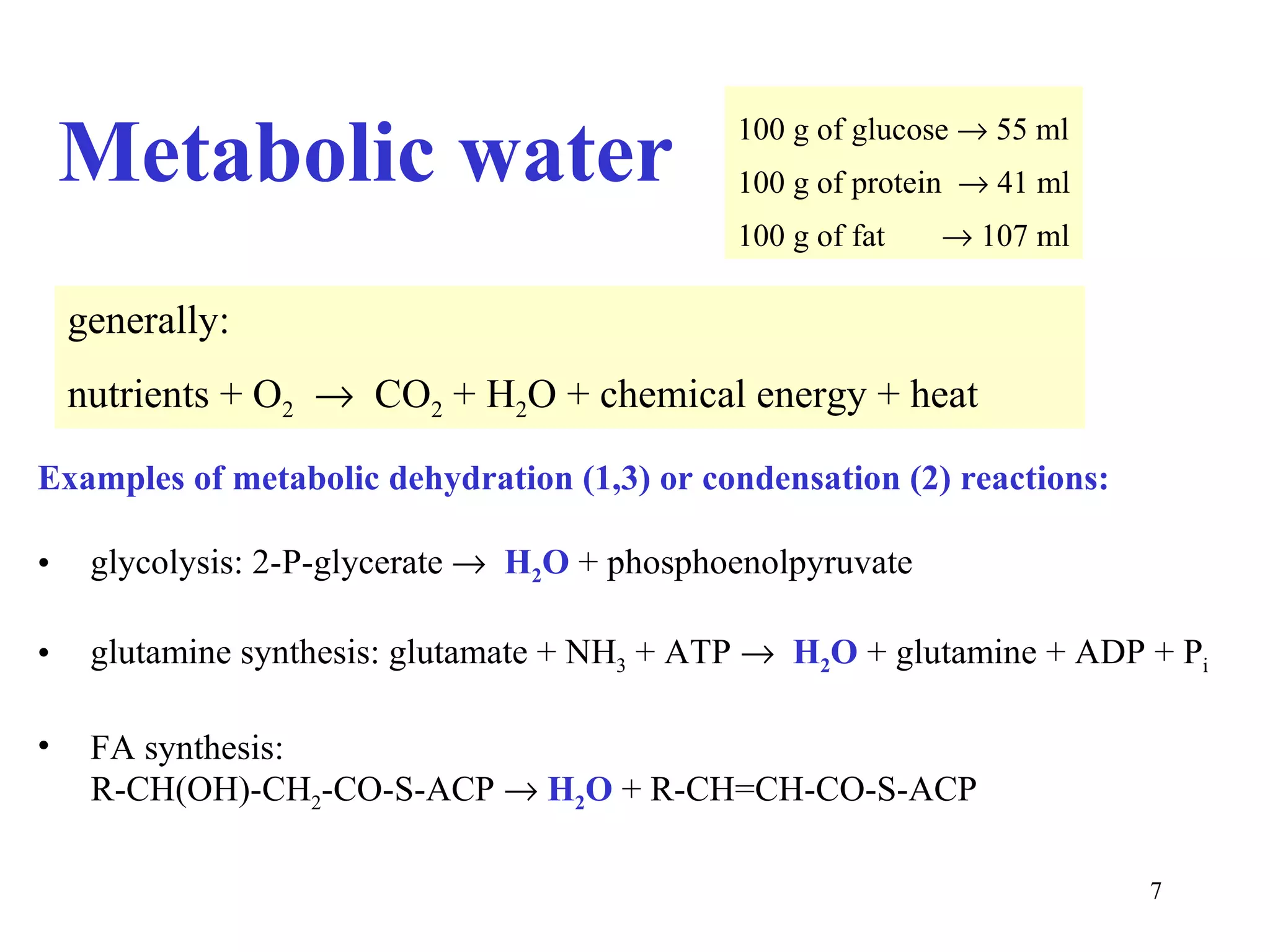 Metabolic water                           100 g of glucose → 55 ml
                                              100 g of protein → 41 ml
                                              100 g of fat   → 107 ml

    generally:
    nutrients + O2 → CO2 + H2O + chemical energy + heat

Examples of metabolic dehydration (1,3) or condensation (2) reactions:

•    glycolysis: 2-P-glycerate → H2O + phosphoenolpyruvate

•    glutamine synthesis: glutamate + NH3 + ATP → H2O + glutamine + ADP + Pi

•    FA synthesis:
     R-CH(OH)-CH2-CO-S-ACP → H2O + R-CH=CH-CO-S-ACP

                                                                         7
 