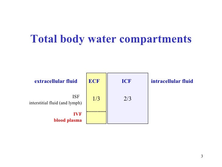 body fat percentage into kg body fat percentage into kg