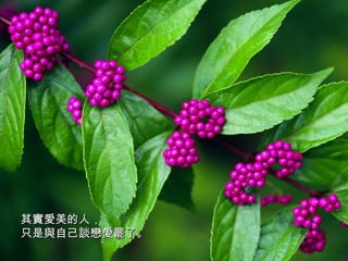 其實愛美的人， 只是與自己談戀愛罷了。   