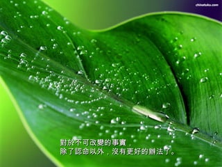 對於不可改變的事實， 除了認命以外，沒有更好的辦法了。   