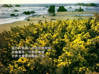 當你用煩惱心來面對事物時， 你會覺得一切都是業障， 世界也會變得醜陋可恨。   