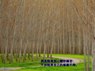 與其說是別人讓你痛苦， 不如說是自己的修養不夠。   