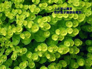 人之所以痛苦， 在於追求錯誤的東西。   