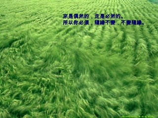 來是偶然的，走是必然的。 所以你必須，隨緣不變，不變隨緣。   