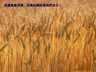 命運負責洗牌，但是玩牌的是我們自己！   