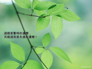 過錯是暫時的遺憾， 而錯過則是永遠的遺憾！   