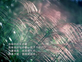 你有你的生命觀， 我有我的生命觀，我不干涉你。 只要我能，我就感化你。 如果不能，那我就認命。   