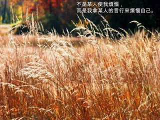 不是某人使我煩惱， 而是我拿某人的言行來煩惱自己。   