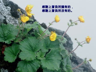 感謝上蒼我所擁有的， 感謝上蒼我所沒有的。   