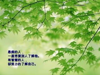 愚痴的人， 一直想要別人了解他。 有智慧的人， 卻努力的了解自己。   