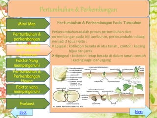 Mind Map
Pertumbuhan &
perkembangan
Pertumbuan&
pertumbuhan
tumbuhan
Pertumbuhan &
Perkembangan
Hewan
Evaluasi
Pertumbuhan & Perkembangan
Faktor Yang
mempengaruhi
Faktor yang
mempengaruhi
Pertumbuhan & Perkembangan Pada Tumbuhan
Perkecambahan adalah proses pertumbuhan dan
perkembangan pada biji tumbuhan, perkecambahan dibagi
menjadi 2 (dua) yaitu :
Epigeal : kotiledon berada di atas tanah , contoh : kacang
hijau dan jarak
Hipogeal : kotiledon tetap berada di dalam tanah, contoh
: kacang kapri dan jagung
Pertumbuan&
pertumbuhan
tumbuhan
NextBack
 