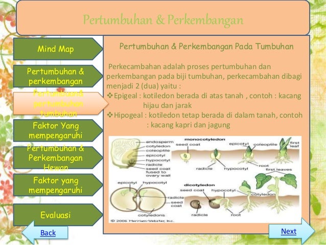PPT Interaktif Pertumbuhan dan Perkembangan