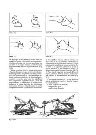 Figura. N° 2 Figura. N° 4 
Figura. N° 3 Figura. N° 5 
cie. Este tipo de movimiento se realiza entre las 
superficies planas o las superficies congruentes. 
Considerando que este tipo de superficies son 
ausentes en el cuerpo humano, concluimos que 
este movimiento puro no se puede realizar (Fig 
N°2). 
Como mencioné al inicio, los movimientos en 
el cuerpo humano son una combinación de am-bos 
componentes. La proporción entre la roda-dura 
y el deslizamiento en cada movimiento ar-ticular 
está determinado por la forma de la arti-culación 
y mientras esta tiene las superficies 
más congruentes, la proporción esta a favor del 
deslizamiento. El movimiento de rodadura se 
realiza en la misma dirección del movimiento 
que realiza el hueso. Esta afirmación es cierta 
independientemente si se realiza el movimiento 
de una superficie cóncava sobre la convexa o al 
revés (Fig. N° 3). Al contrario, si analizamos el 
componente del deslizamiento, su dirección de-pende 
de la superficie de la que se mueve. Por 
lo tanto, si la superficie cóncava es la que se 
mueve, entonces el movimiento del hueso y el 
deslizamiento es en la misma dirección (Fig. N° 
4). Pero si es la superficie convexa la del movi-miento, 
entonces éste se realizará en la direc-ción 
opuesta al del movimiento del hueso (Fig. 
N°5). 
- movimiento translatorio - es un desplaza-miento 
rectilíneo del cuerpo y tiene las siguien-tes 
características: 
• todos los puntos se mueven: 
- en una línea recta 
- en la misma distancia 
Figura. N° 6 
 