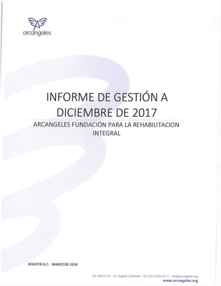 Informe de Gestion 2017