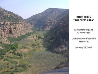 Book Cliffs Utah Map Book Cliffs Roadless Area