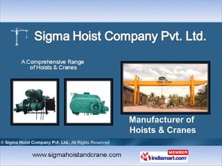 Manufacturer of
Hoists & Cranes
 
