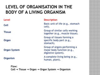 LEVEL OF ORGANISATION IN THE
BODY OF A LIVING ORGANISM
Level Description
Cell
Basic unit of life (e.g., stomach
cell).
Tissue
Group of similar cells working
together (e.g., muscle tissue).
Organ
Group of tissues forming a
specific body part (e.g.,
stomach).
Organ System
Group of organs performing a
major body function (e.g.,
digestive system).
Organism
A complete living being (e.g.,
human, plant).
Flow:
Cell Tissue Organ Organ System Organism
→ → → →
 