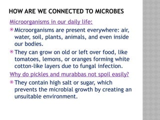 HOW ARE WE CONNECTED TO MICROBES
Microorganisms in our daily life:
 Microorganisms are present everywhere: air,
water, soil, plants, animals, and even inside
our bodies.
 They can grow on old or left over food, like
tomatoes, lemons, or oranges forming white
cotton-like layers due to fungal infection.
Why do pickles and murabbas not spoil easily?
 They contain high salt or sugar, which
prevents the microbial growth by creating an
unsuitable environment.
 