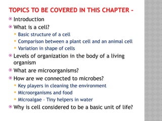 TOPICS TO BE COVERED IN THIS CHAPTER -
 Introduction
 What is a cell?
 Basic structure of a cell
 Comparison between a plant cell and an animal cell
 Variation in shape of cells
 Levels of organization in the body of a living
organism
 What are microorganisms?
 How are we connected to microbes?
 Key players in cleaning the environment
 Microorganisms and food
 Microalgae – Tiny helpers in water
 Why is cell considered to be a basic unit of life?
 