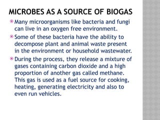 MICROBES AS A SOURCE OF BIOGAS
 Many microorganisms like bacteria and fungi
can live in an oxygen free environment.
 Some of these bacteria have the ability to
decompose plant and animal waste present
in the environment or household wastewater.
 During the process, they release a mixture of
gases containing carbon dioxide and a high
proportion of another gas called methane.
This gas is used as a fuel source for cooking,
heating, generating electricity and also to
even run vehicles.
 