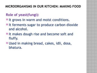 MICROORGANISMS IN OUR KITCHEN: MAKING FOOD
Role of yeast(fungi):
 It grows in warm and moist conditions.
 It ferments sugar to produce carbon dioxide
and alcohol.
 It makes dough rise and become soft and
fluffy.
 Used in making bread, cakes, idli, dosa,
bhatura.
 