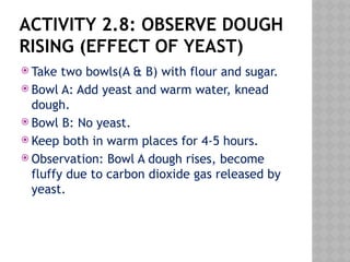 ACTIVITY 2.8: OBSERVE DOUGH
RISING (EFFECT OF YEAST)
 Take two bowls(A & B) with flour and sugar.
 Bowl A: Add yeast and warm water, knead
dough.
 Bowl B: No yeast.
 Keep both in warm places for 4-5 hours.
 Observation: Bowl A dough rises, become
fluffy due to carbon dioxide gas released by
yeast.
 