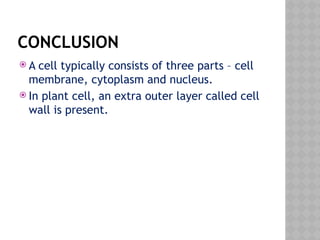 CONCLUSION
 A cell typically consists of three parts – cell
membrane, cytoplasm and nucleus.
 In plant cell, an extra outer layer called cell
wall is present.
 