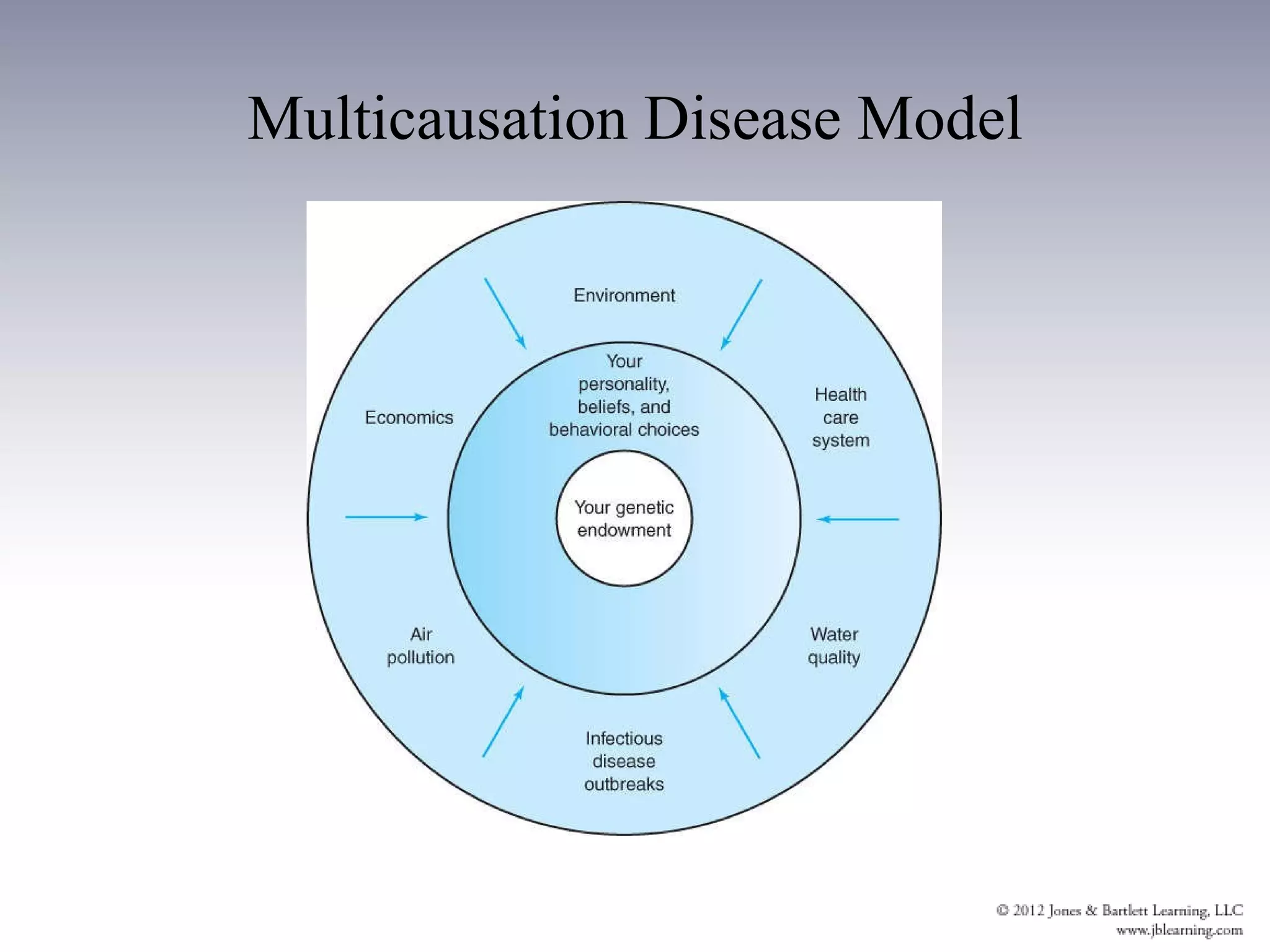 Multicausation Disease Model 