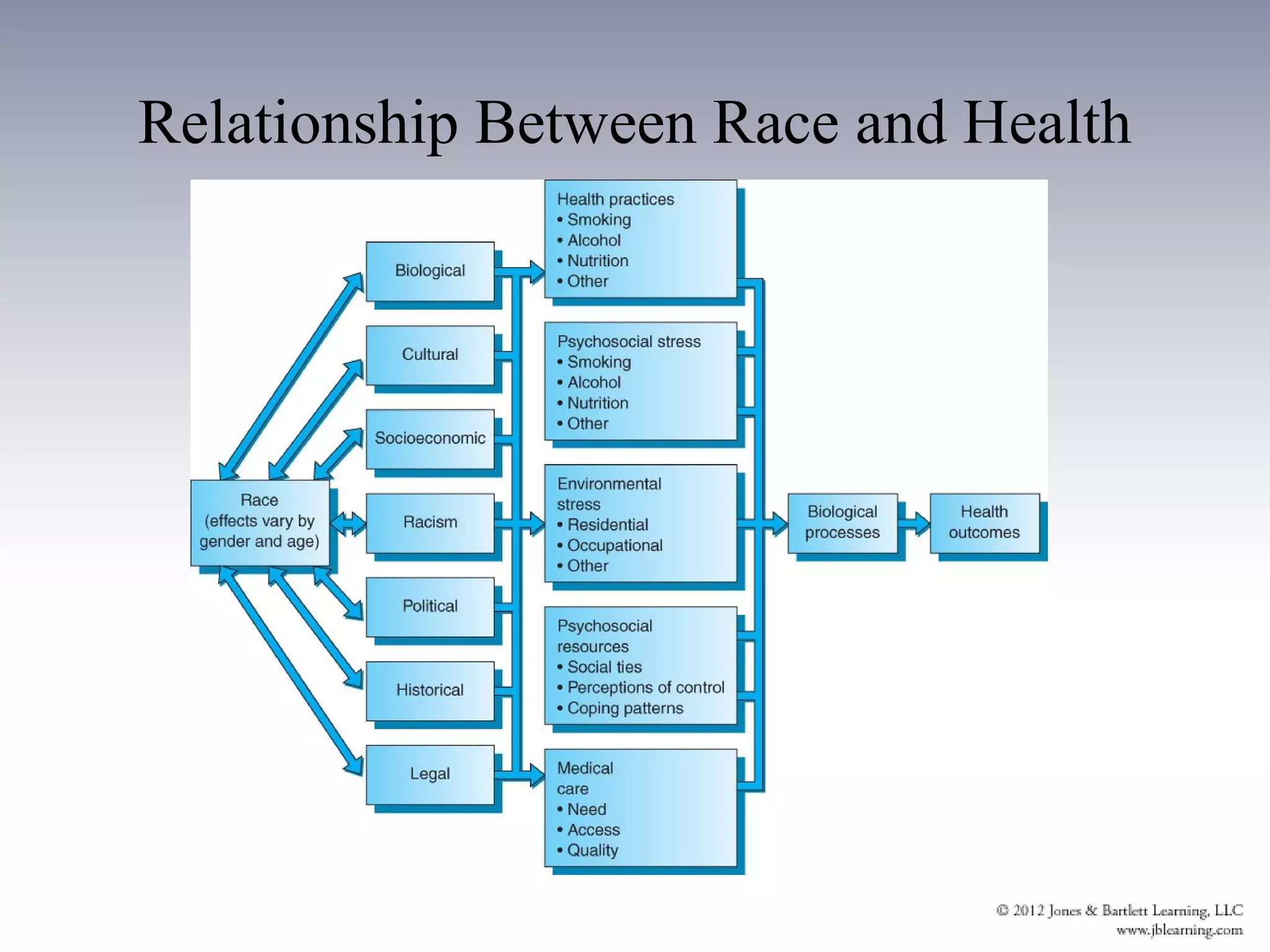 Relationship Between Race and Health
 
