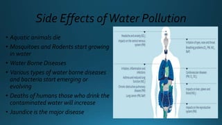 Side Effects ofWater Pollution
• Aquatic animals die
• Mosquitoes and Rodents start growing
in water
• Water Borne Disease...