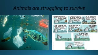 Animals are struggling to survive
 
