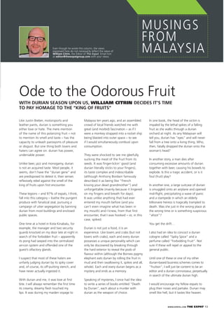 WWW.EXPATKL.COM THE EXPAT 13
MUSINGS
FROM
MALAYSIA
In one book, the head of the victim is
impaled by the lethal spikes of a falling
fruit as she walks through a durian
orchard at night. As any Malaysian will
tell you, durian has “eyes” and will never
fall from a tree onto a living thing. Who,
then, fatally dropped the durian onto the
woman’s head?
In another story, a man dies after
consuming excessive amounts of durian
together with beer, causing his bowels to
explode. Is this a tragic accident, or is it
foul (fruit) play?
In another one, a large suitcase of durian
is smuggled onto an airplane and opened
mid-ﬂight, precipitating a wave of panic
and a stampede in which an elderly
billionaire heiress is tragically trampled to
death. Was she just in the wrong place at
the wrong time or is something suspicious
“afoot”?
You get the drift…
I also had an idea to concoct a durian
cologne called “Spiky Spice” and a
perfume called “Forbidding Fruit”. Not
sure if these will repel or appeal to the
general public.
Until one of these or one of my other
durian-based business schemes comes to
“fruition”, I will just be content to be an
editor and a durian connoisseur, perpetually
in search of the ultimate durian high.
I would encourage my fellow expats to
plug their noses and partake. Durian may
smell like hell, but it tastes like heaven.
Ode to the Odorous Fruit
WITH DURIAN SEASON UPON US, WILLIAM CITRIN DECIDES IT’S TIME
TO PAY HOMAGE TO THE “KING OF FRUITS”
Malaysia ten years ago, and an assembled
crowd of local friends watched me with
great (and morbid) fascination – as if I
were a monkey strapped into a rocket ship
being blasted into outer space – to see
if I would simultaneously combust upon
consumption.
They were shocked to see me gleefully
sucking the meat of the fruit from its
seeds. It was ﬁnger-lickin’ good (and
durian literally sticks to your ﬁngers),
its taste complex and indescribable
(although Anthony Bordain famously
described it as being like “French
kissing your dead grandmother”) and
unforgettable (mainly because it lingered
on my ﬁngers and breath for days).
It was unlike anything that had ever
entered my mouth before (and you
can’t even imagine what has been in
my mouth) and I knew, from that ﬁrst
encounter, that I was hooked – or, in this
case, spiked.
Durian is not just a food, it is an
experience. Like lovers and crabs (but not
lovers with crabs), each and every durian
possesses a unique personality which can
only be discovered by breaking through
the hard exterior to reveal the pods of
ﬂavour within (although the Borneo pygmy
elephant eats durian by rolling the fruit in
mud and then swallowing it, spikes and all,
whole). Each and every durian begins as a
mystery and ends as a memory.
Speaking of mysteries, I once had the idea
to write a series of books entitled “Death
by Durian”, each about a murder with
durian as the weapon of choice.
Like Justin Bieber, motorsports and
leather pants, durian is something you
either love or hate. The mere mention
of the name of this polarizing fruit – not
to mention its smell and taste – has the
capacity to unleash paroxysms of pleasure
or disgust. But one thing both lovers and
haters can agree on: durian has power,
undeniable power.
Unlike beer, jazz and monogamy, durian
is not an acquired taste. Most people, it
seems, don’t have the “durian gene” and
are predisposed to detest it; their senses
reﬂexively rebel against the smell of the
king of fruits upon ﬁrst encounter.
These legions – and 97% of expats, I think,
fall into this category – loathe the pungent
produce with fanatical zeal, pursuing a
campaign of utter segregation by banning
durian from most buildings and enclosed
public spaces.
One time at a hotel in Kota Kinabalu, for
example, the manager and two security
guards knocked on my door late at night in
search of the forbidden fruit – apparently
its pong had seeped into the centralized
air-con system and offended one of the
guest’s olfactory glands.
I suspect that most of these haters are
unfairly judging durian by its spiky cover
and, of course, its off-putting stench, and
have never actually ingested it.
With durian and me, it was love at ﬁrst
bite. I will always remember the ﬁrst time
its creamy, dreamy ﬂesh touched my
lips. It was during my maiden voyage to
Even though he wrote this column, the views
expressed here do not necessarily reﬂect the views of
William Citrin, the Editor of The Expat. Email him
at editor@theexpatgroup.com with your views.
 