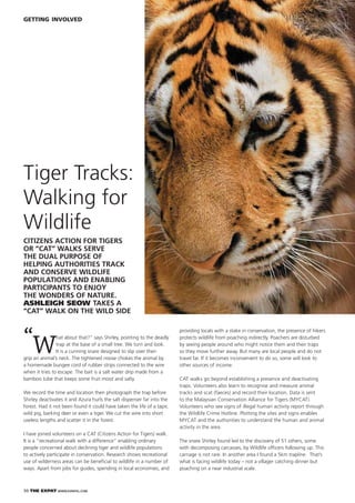 30 THE EXPAT WWW.EXPATKL.COM
GETTING INVOLVED
“W
hat about that?” says Shirley, pointing to the deadly
trap at the base of a small tree. We turn and look.
It is a cunning snare designed to slip over then
grip an animal’s neck. The tightened noose chokes the animal by
a homemade bungee cord of rubber strips connected to the wire
when it tries to escape. The bait is a salt water drip made from a
bamboo tube that keeps some fruit moist and salty.
We record the time and location then photograph the trap before
Shirley deactivates it and Azura hurls the salt dispenser far into the
forest. Had it not been found it could have taken the life of a tapir,
wild pig, barking deer or even a tiger. We cut the wire into short
useless lengths and scatter it in the forest.
I have joined volunteers on a CAT (Citizens Action for Tigers) walk.
It is a “recreational walk with a difference” enabling ordinary
people concerned about declining tiger and wildlife populations
to actively participate in conservation. Research shows recreational
use of wilderness areas can be beneﬁcial to wildlife in a number of
ways. Apart from jobs for guides, spending in local economies, and
Tiger Tracks:
Walking for
Wildlife
CITIZENS ACTION FOR TIGERS
OR “CAT” WALKS SERVE
THE DUAL PURPOSE OF
HELPING AUTHORITIES TRACK
AND CONSERVE WILDLIFE
POPULATIONS AND ENABLING
PARTICIPANTS TO ENJOY
THE WONDERS OF NATURE.
ASHLEIGH SEOW TAKES A
“CAT” WALK ON THE WILD SIDE
providing locals with a stake in conservation, the presence of hikers
protects wildlife from poaching indirectly. Poachers are disturbed
by seeing people around who might notice them and their traps
so they move further away. But many are local people and do not
travel far. If it becomes inconvenient to do so, some will look to
other sources of income.
CAT walks go beyond establishing a presence and deactivating
traps. Volunteers also learn to recognise and measure animal
tracks and scat (faeces) and record their location. Data is sent
to the Malaysian Conservation Alliance for Tigers (MYCAT).
Volunteers who see signs of illegal human activity report through
the Wildlife Crime Hotline. Plotting the sites and signs enables
MYCAT and the authorities to understand the human and animal
activity in the area.
The snare Shirley found led to the discovery of 51 others, some
with decomposing carcasses, by Wildlife ofﬁcers following up. This
carnage is not rare. In another area I found a 5km trapline. That’s
what is facing wildlife today – not a villager catching dinner but
poaching on a near industrial scale.
 